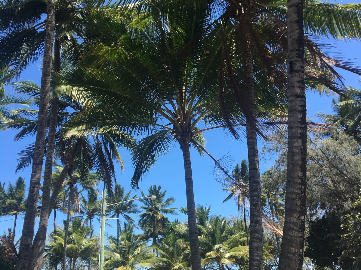 An Australian Love&nbsp;Story