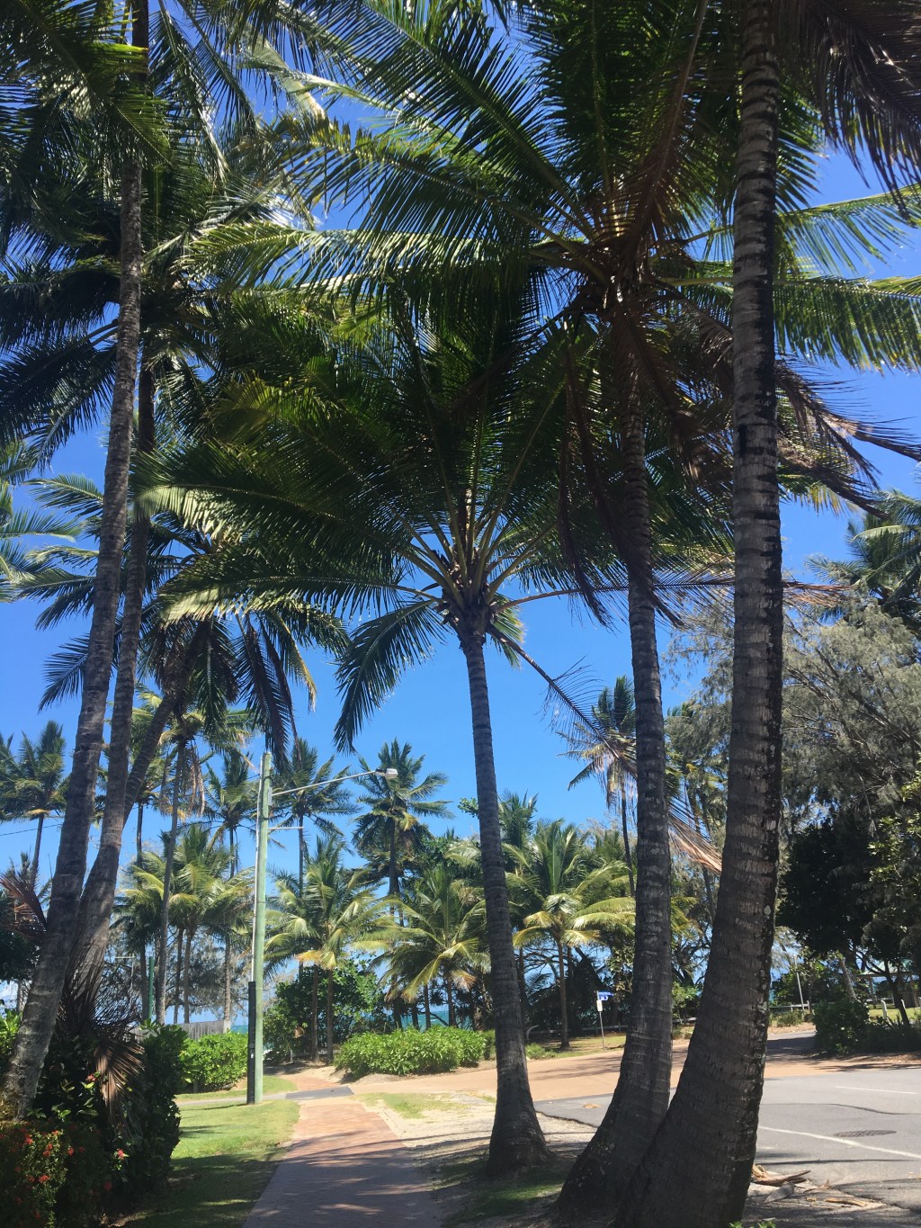 An Australian Love&nbsp;Story